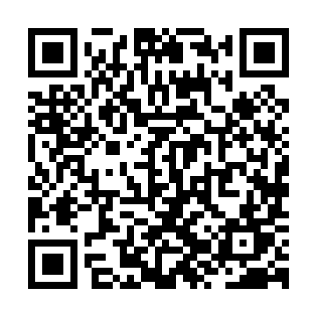 QR code for ZZX09T