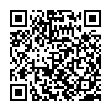 QR code for ZZYZ81