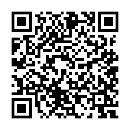 QR code for 0029LNN