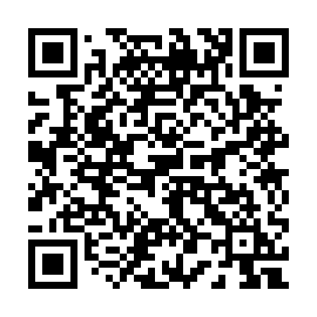QR code for 0030QI