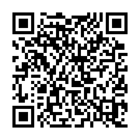 QR code for 0063QI