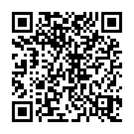 QR code for 008ICP