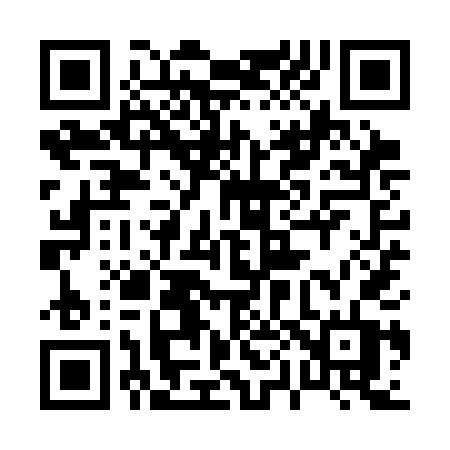 QR code for 009SDT