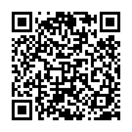 QR code for 013DDI