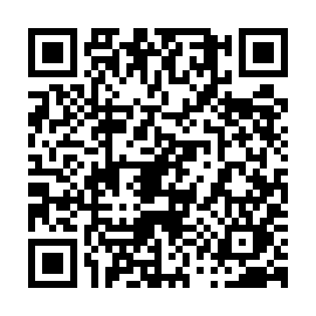 QR code for 0155ILO