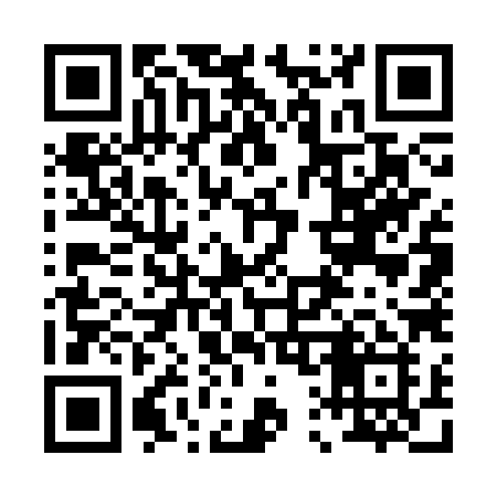 QR code for 0173XI
