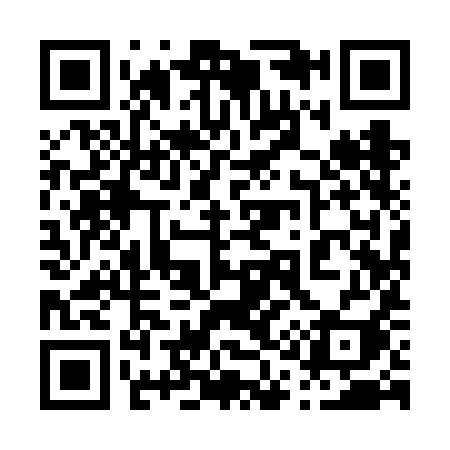 QR code for 0196II