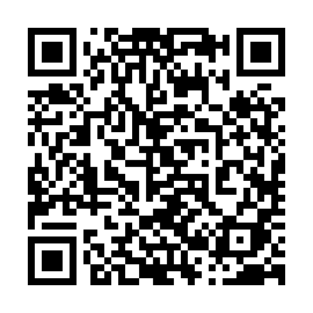 QR code for 0228PI