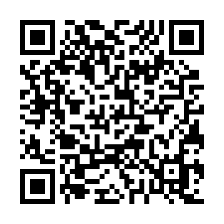 QR code for 0272SO