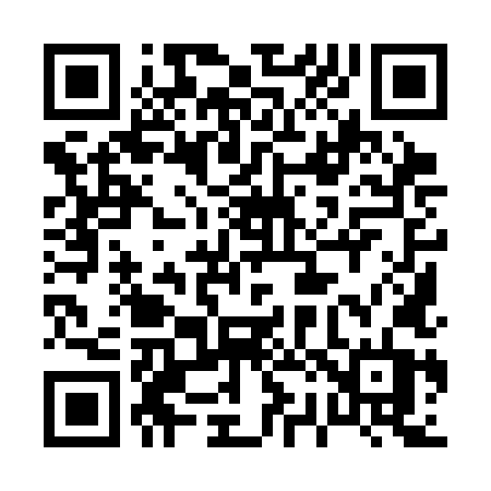 QR code for 0293LT