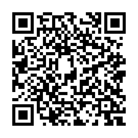 QR code for 0295LFF