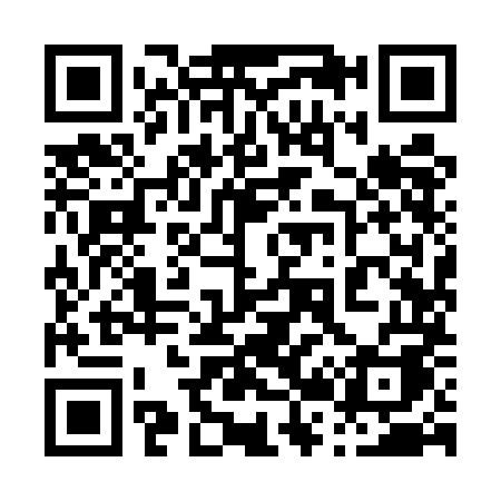 QR code for 0295MA