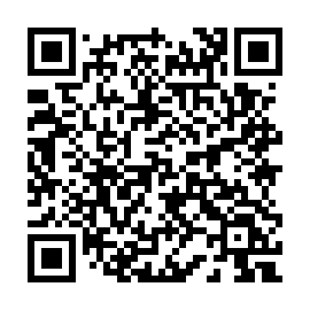 QR code for 0295TL