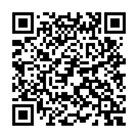 QR code for 0306SF
