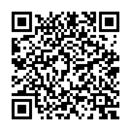 QR code for 0313DCT
