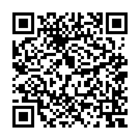 QR code for 0313LZZ
