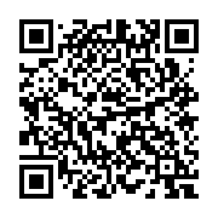 QR code for 0313QI