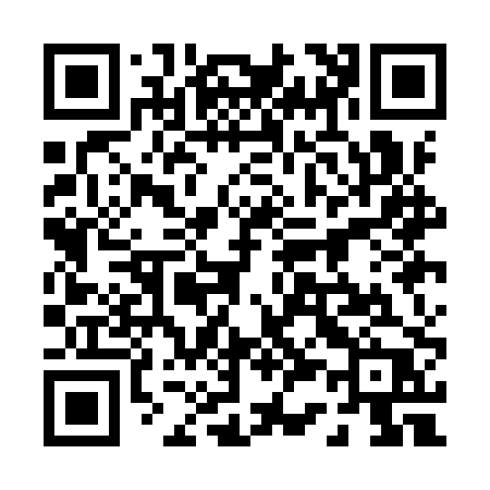 QR code for 031IPP