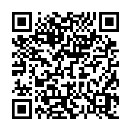 QR code for 0333DV