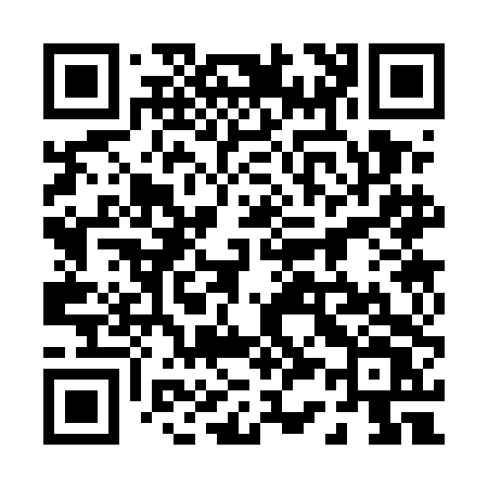 QR code for 0335DV