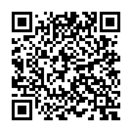 QR code for 0335FI
