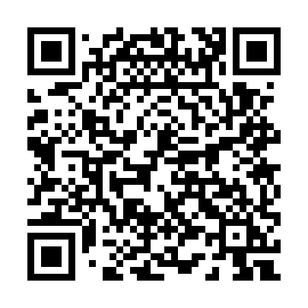 QR code for 0335XI