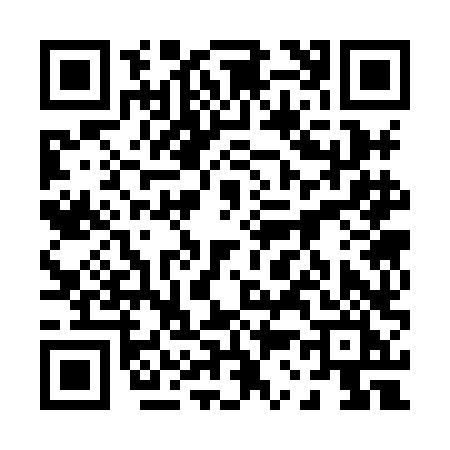 QR code for 0338LIO