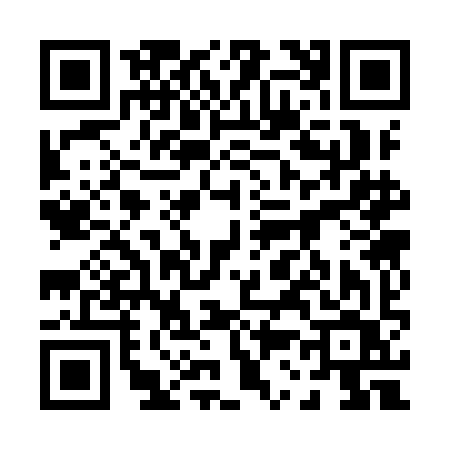 QR code for 0339IVO
