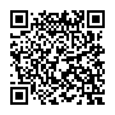QR code for 0339MO