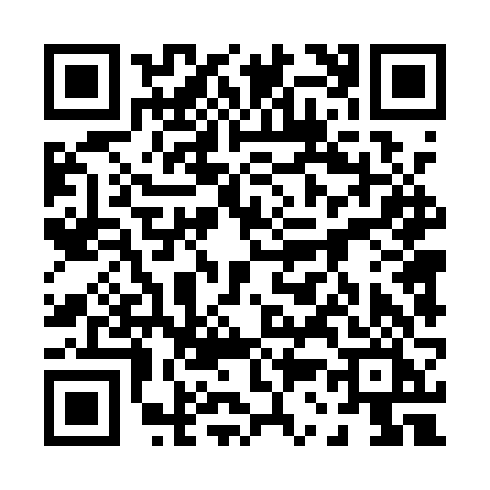 QR code for 0341VII
