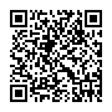 QR code for 0343IS