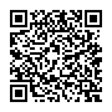 QR code for 0357ICO