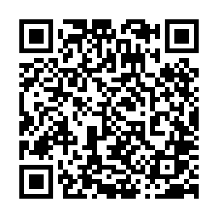 QR code for 036PLS