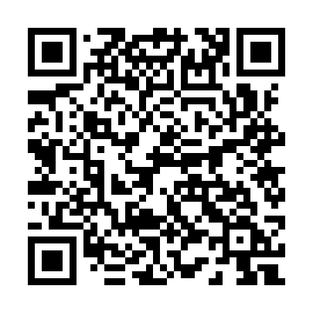 QR code for 0379SF