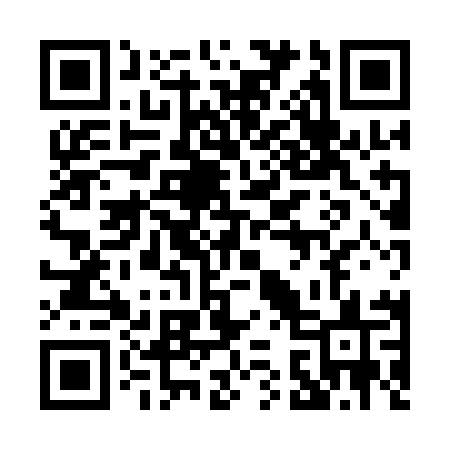 QR code for 0381MS