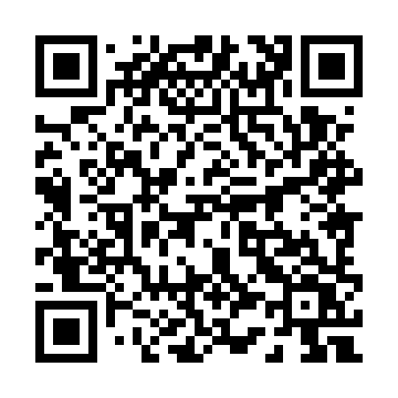 QR code for 0385XV