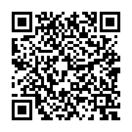 QR code for 0387XSG