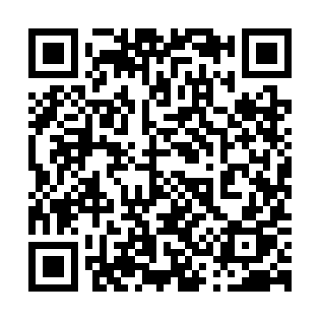 QR code for 0393IP