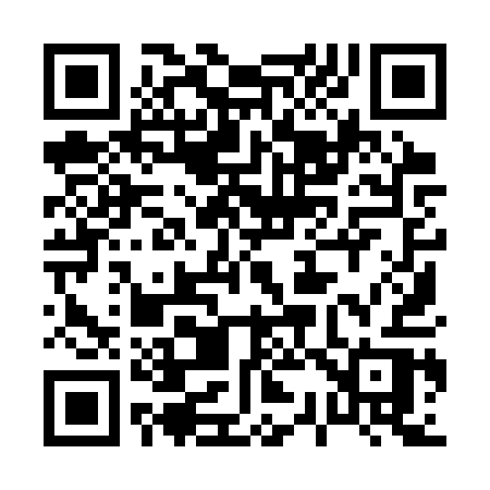 QR code for 0393QR