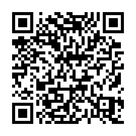 QR code for 0393RQ
