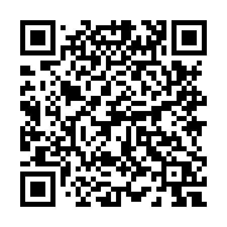 QR code for 0398PP