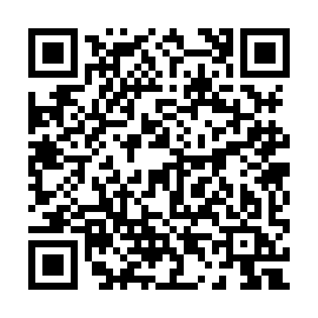 QR code for 0438ICJ