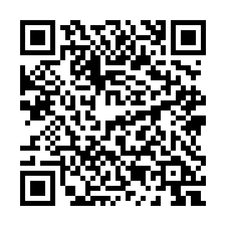 QR code for 0594DDT