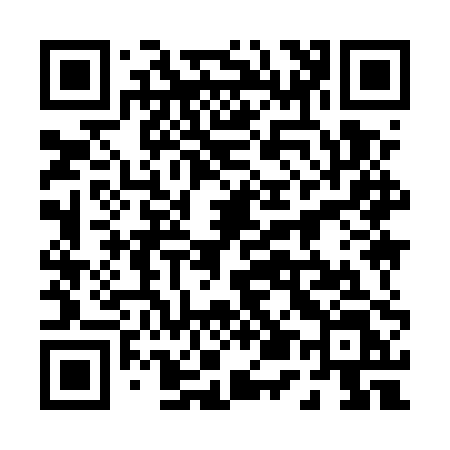 QR code for 0595PL