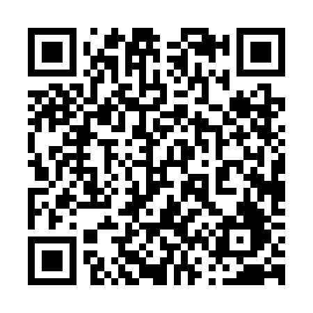 QR code for 0603BF