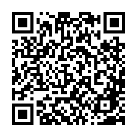 QR code for 0603DG
