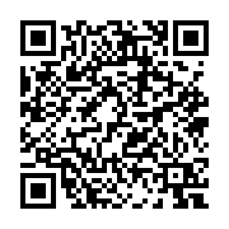 QR code for 0611SQP