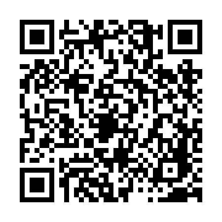 QR code for 0612FFT