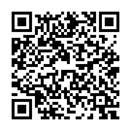 QR code for 0613PFA