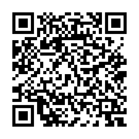 QR code for 0613PPA